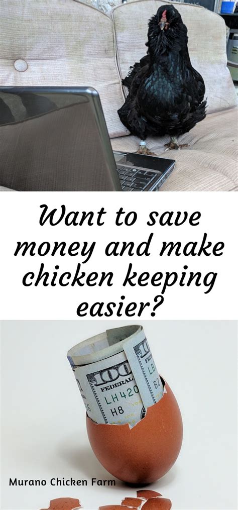 are chickens cheap to keep